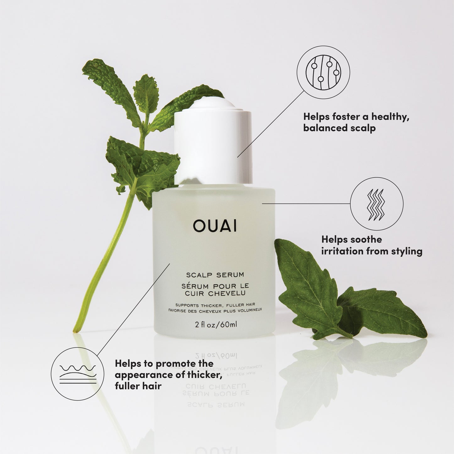 Luxurious clear scalp serum bottle with mint leaves, highlighting benefits for healthy, fuller hair.