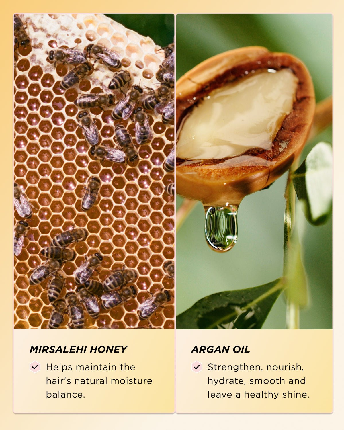 Honey Infused Hair Perfume Mini - Wylde Grey