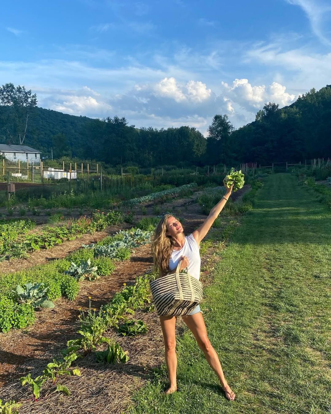 High-Fiber Fruits & Veggies Your Gut Will Love