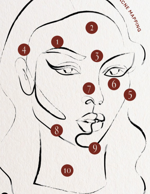 ACNE MAPPING: Why We Break Out in Certain Areas