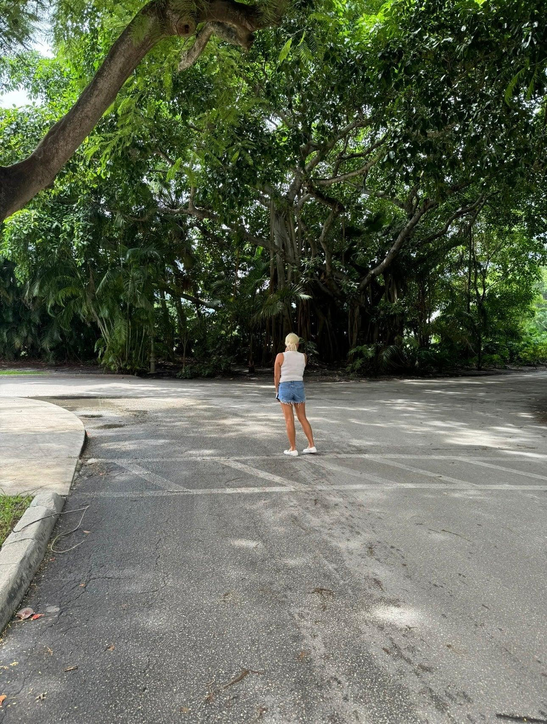 Embracing Nature for a Healthier Lifestyle - Wylde Grey