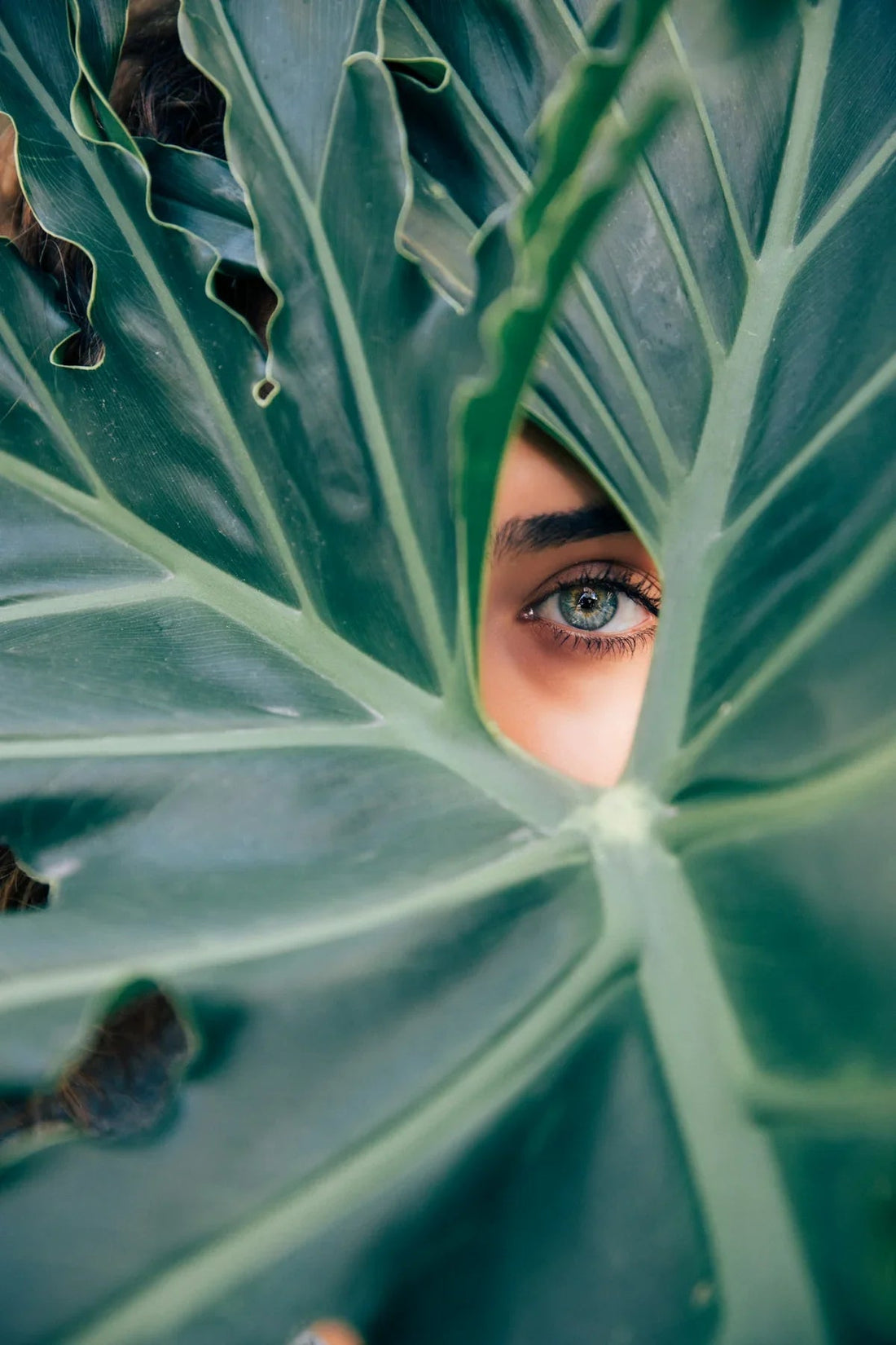 Luxurious close-up of green leaf texture with a striking green eye and natural makeup peeking through.