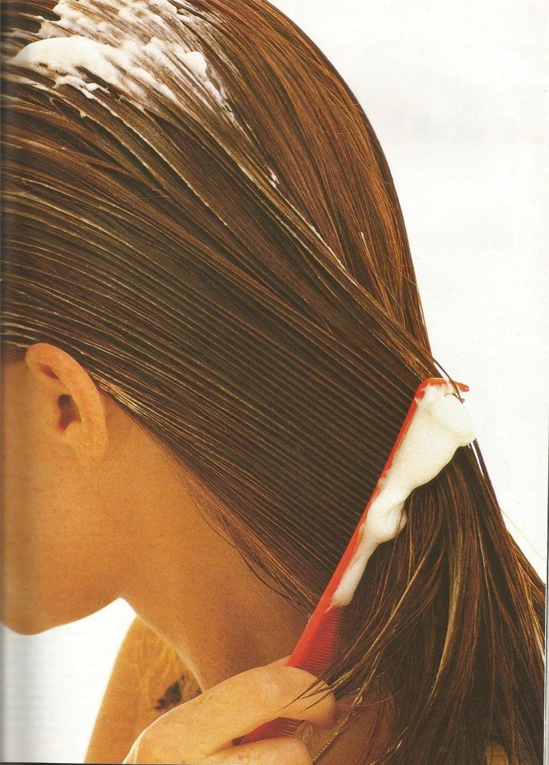 The Top Foods to Eat  FOR HEALTHY HAIR - Wylde Grey
