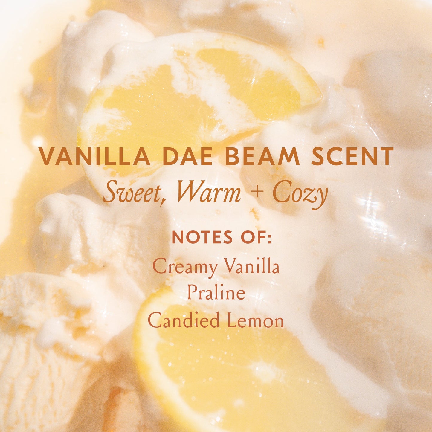 Dae Cactus Fruit 3-in-1 Styling Cream + Taming Wand - Vanilla Dae Beam