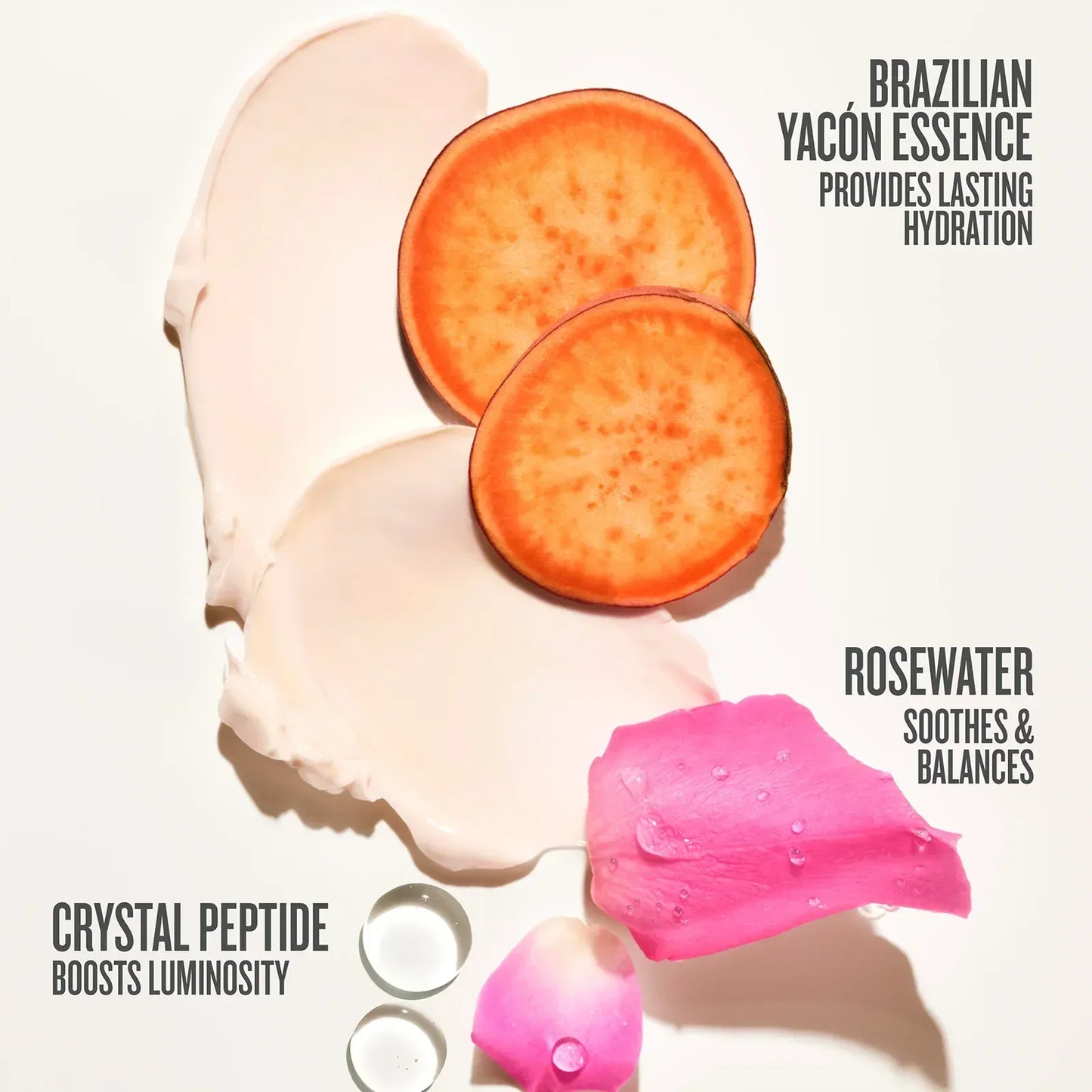 Rosa Charmosa™ Dewy Cream - Sol de Janeiro - Body Cream - 240ml - Wylde Grey