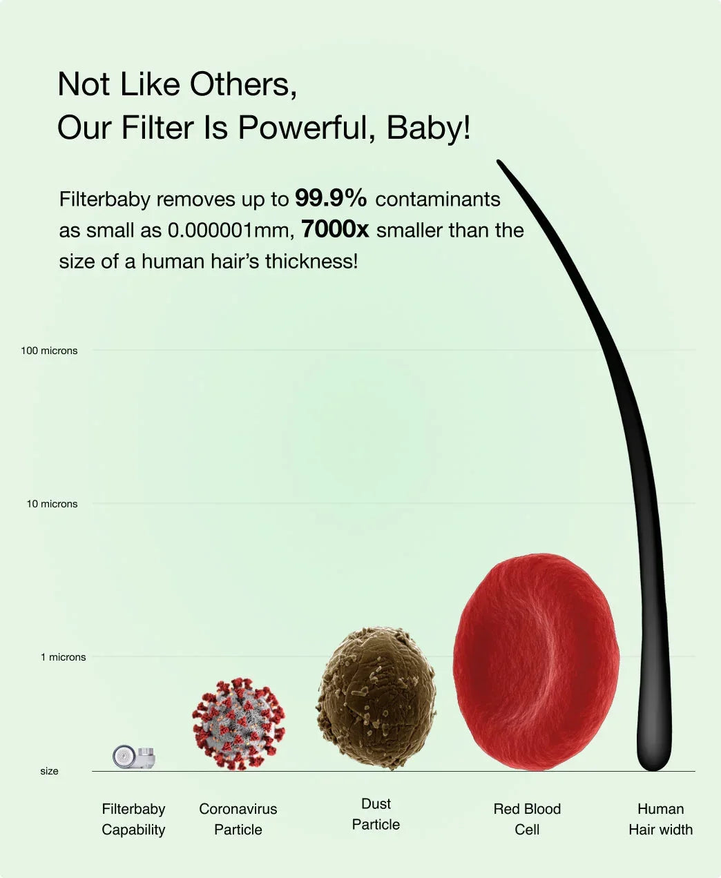 Green infographic compares Filterbaby filtration with coronavirus, dust, red blood cell, human hair.