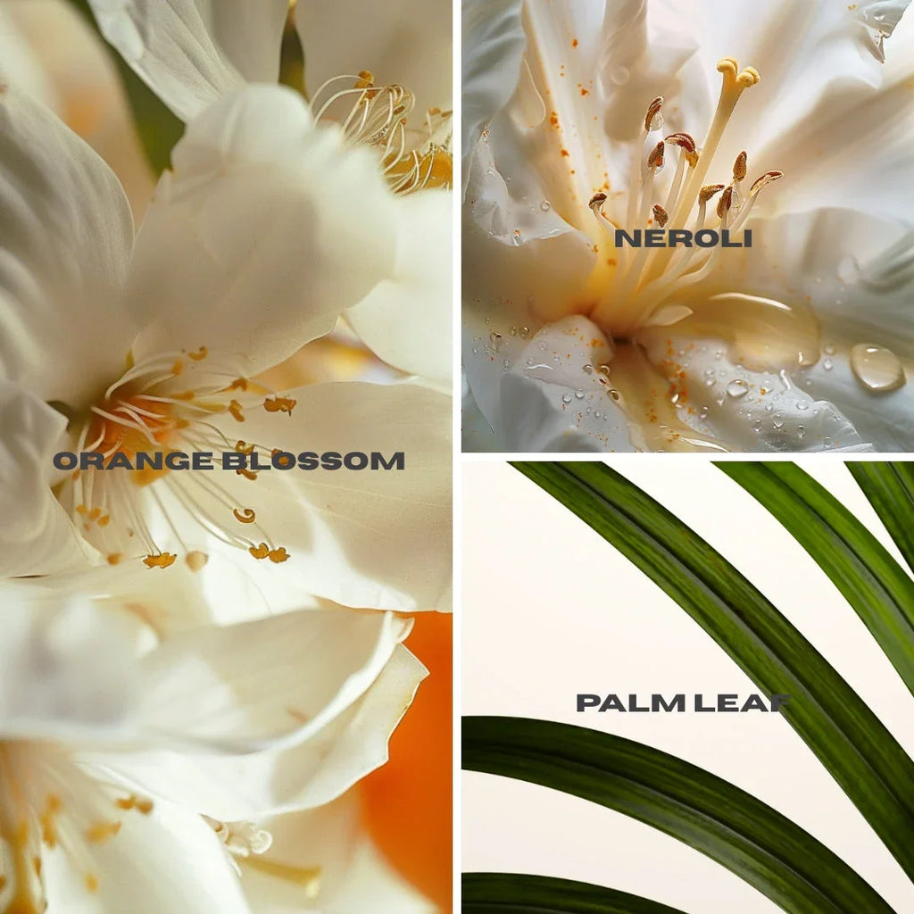 Hydrating Body Gloss Allure Award | OUI the People