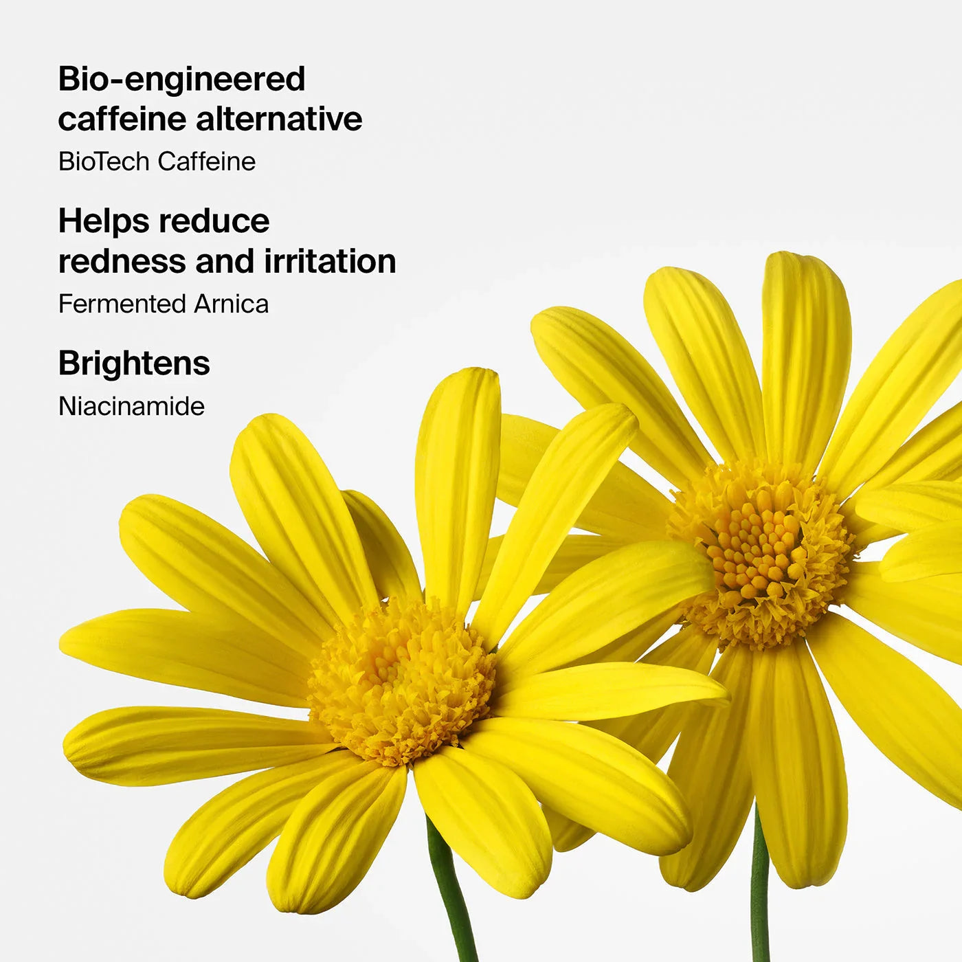 24 Light Medium Neutral - 23 Light Medium Golden - 22 Light Medium Peach - 21 Light Medium Neutral - 20 Light Medium Peach - 14 Light Peach - 13 Light Neutral - 12 Light Rosy - 11 Light Neutral - 10 Light Golden - 06 Fair Rosy - 05 Fair Peach - 04 Fair Neutral - 03 Fair Rosy - 02 Fair Golden - 01 Fair Neutral