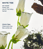 White tea fragrance visual with delicate white lilies, green tea leaves, and santal wood on a clean background