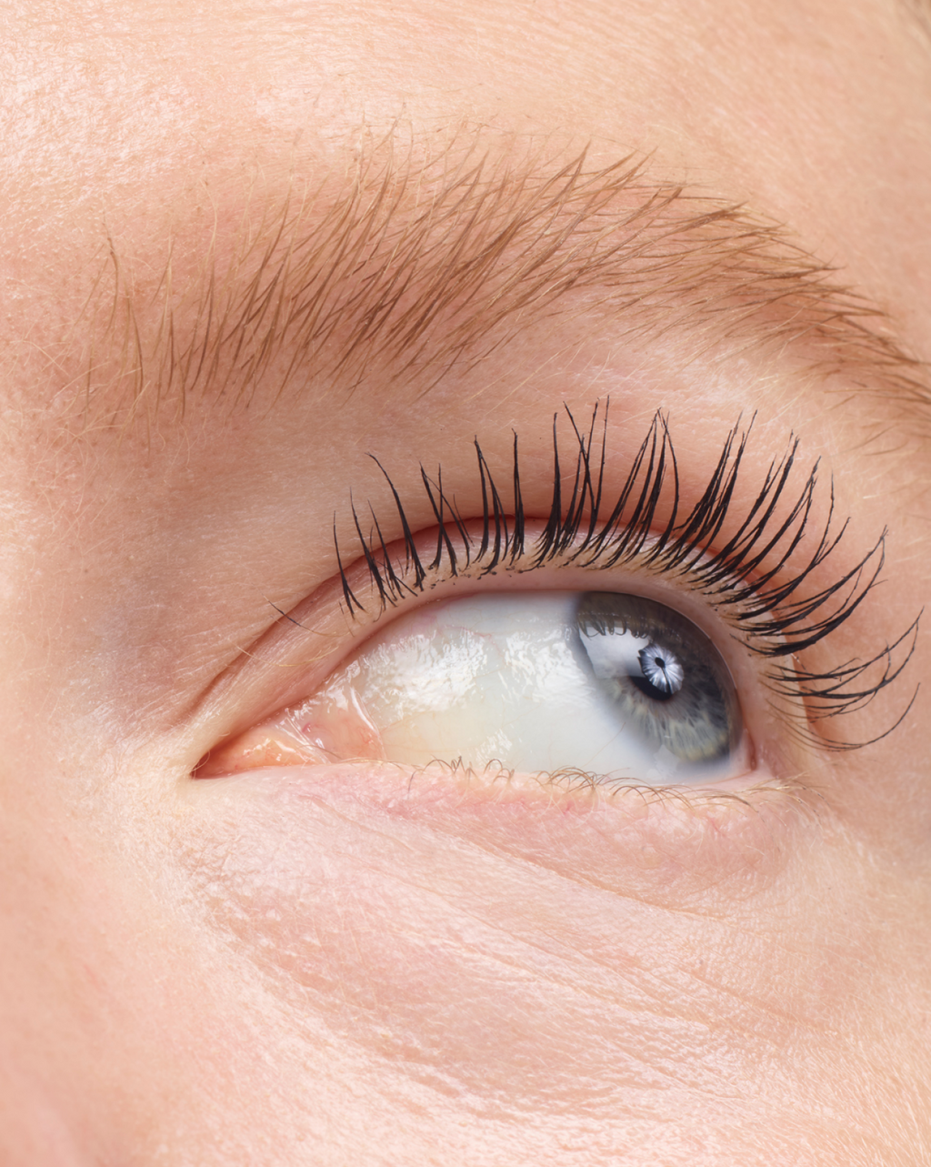 blond | Robin wears Boy Brow in Blond. | Robin wears Boy Brow in Blond.