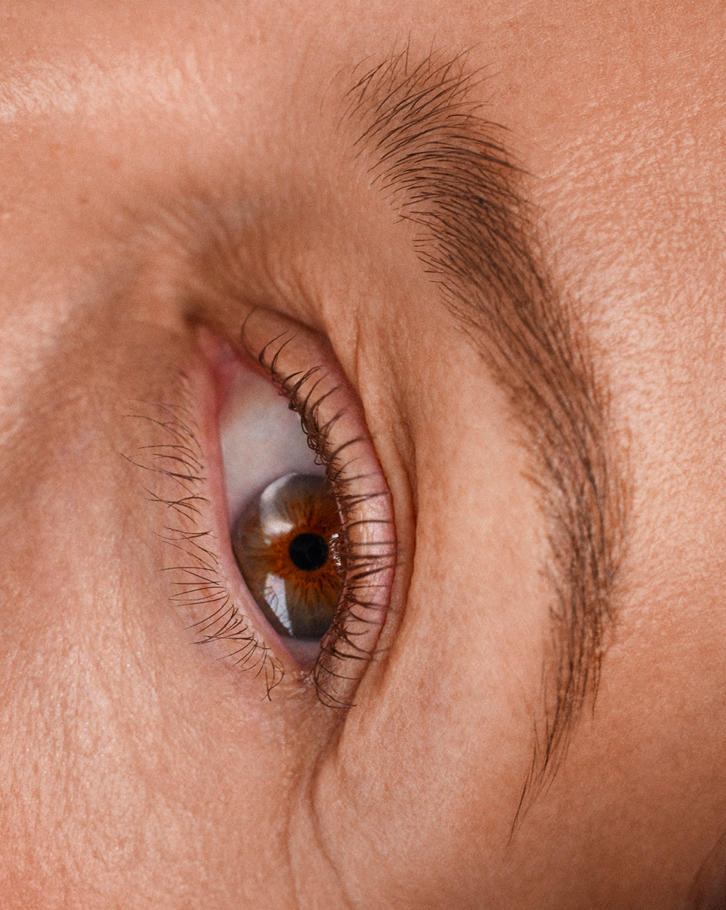 brown | Jane wears Boy Brow in Brown. | Jane wears Boy Brow in Brown.