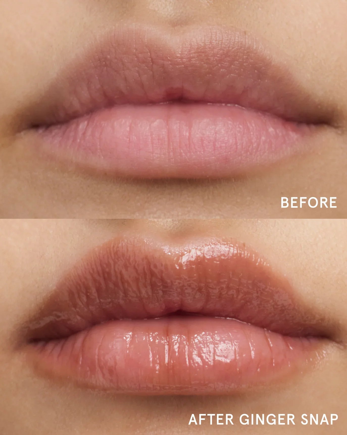 gingersnap | Tian wears Gingersnap Balm Dotcom. | Tian wears Gingersnap Balm Dotcom.
