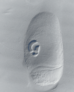 Glossier You Travel Perfume