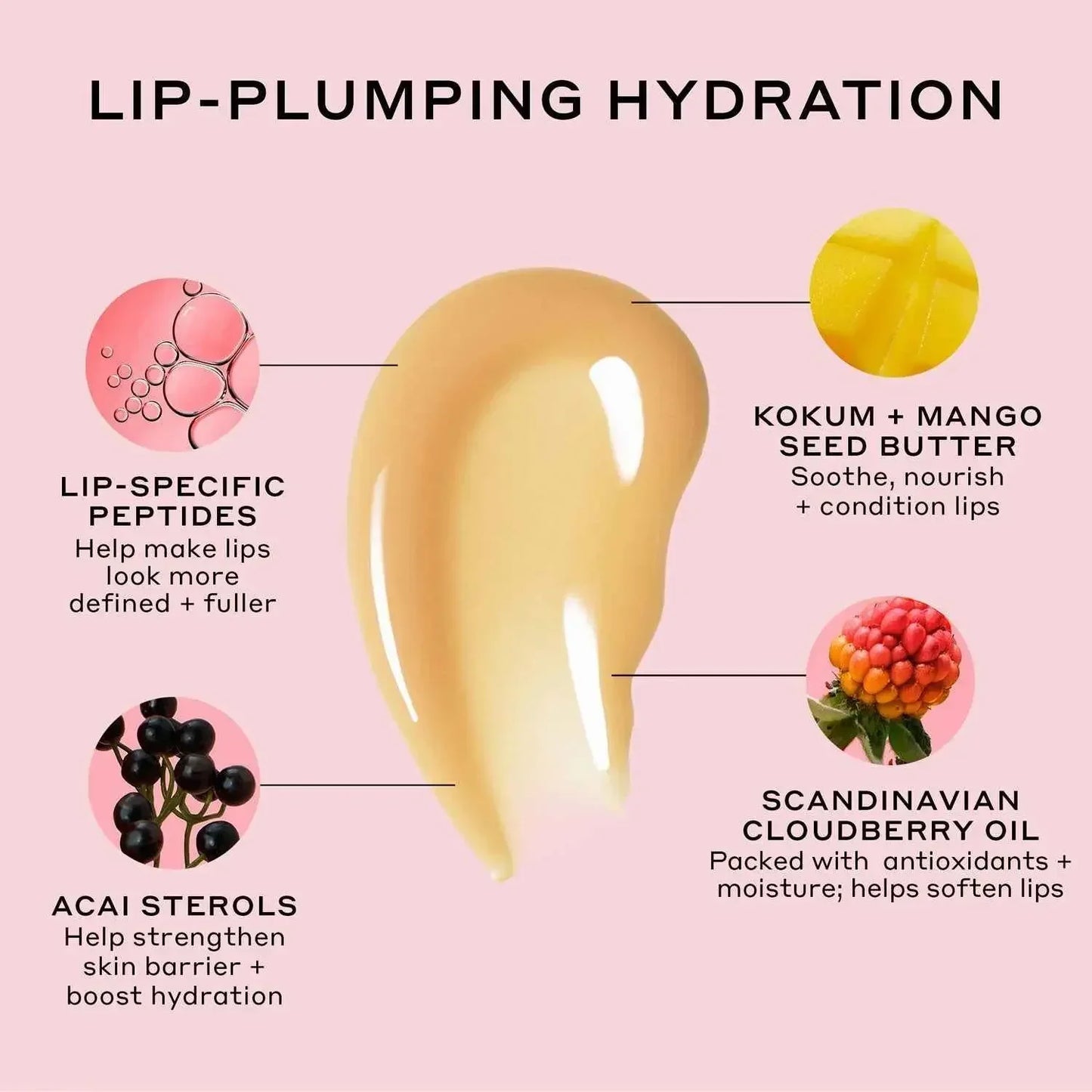 Glossy, creamy lip treatment swatch on pink background with ingredient highlights: mango seed butter, cloudberry oil, acai sterols, peptides.