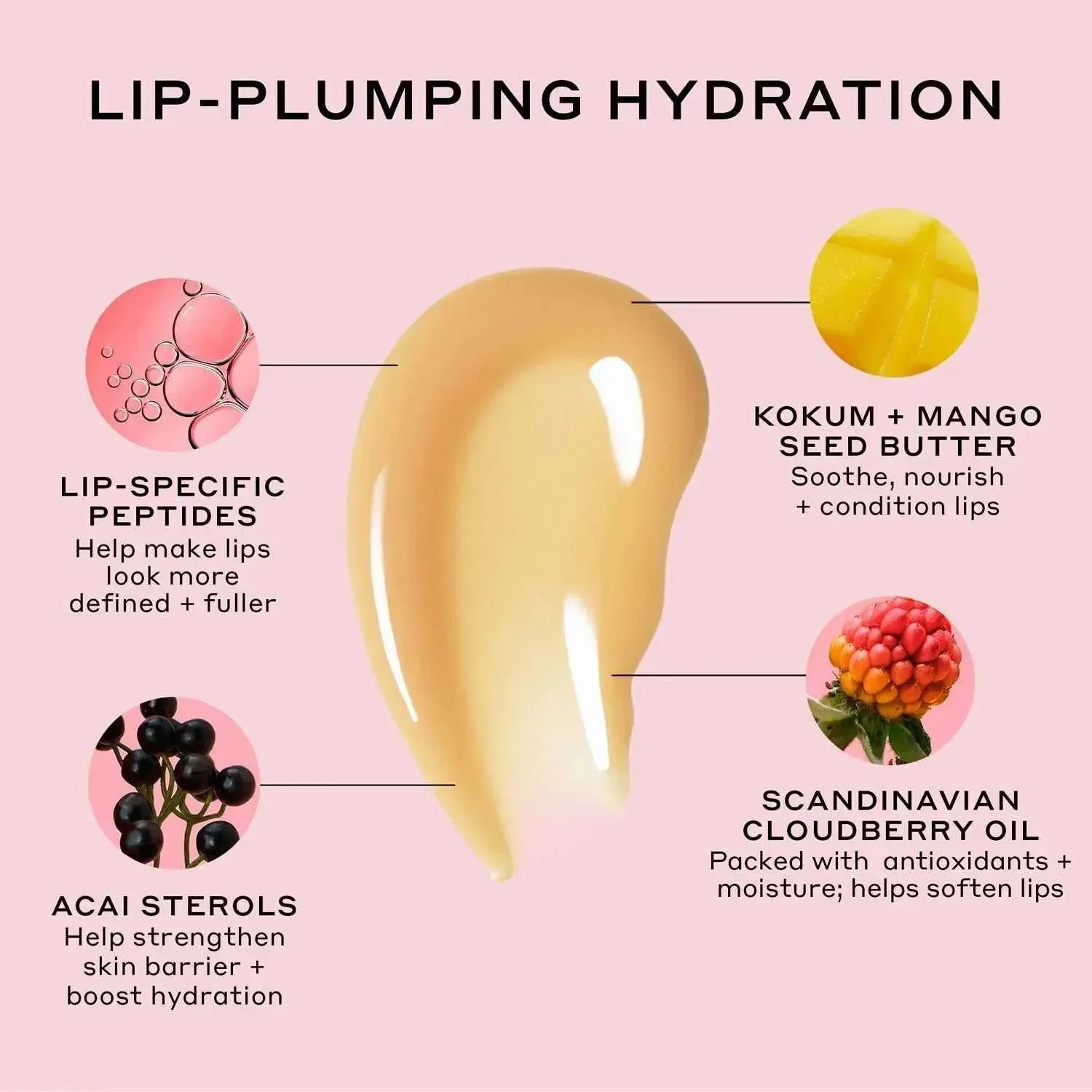 Glossy, creamy lip treatment swatch on pink background with ingredient highlights: mango seed butter, cloudberry oil, acai sterols, peptides.