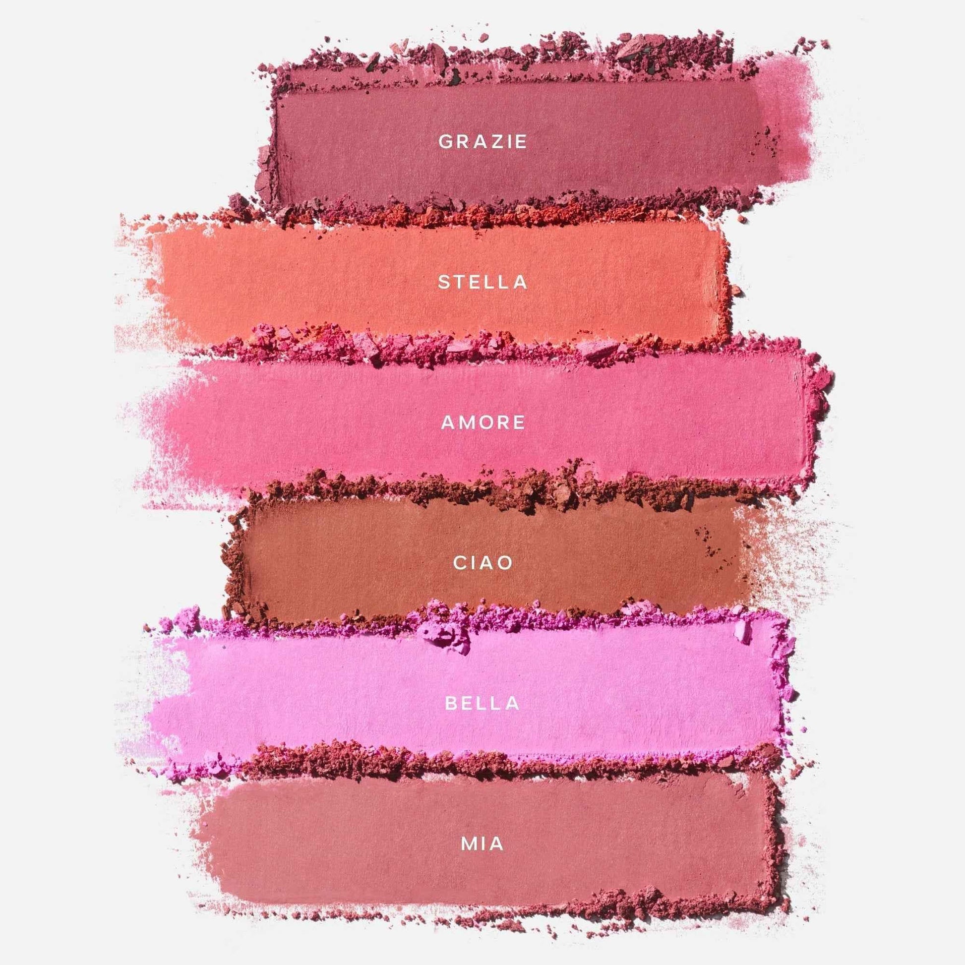 Luxurious baked powder blush palette with six matte shades, showcasing vibrant pink, coral, rose and nude tones