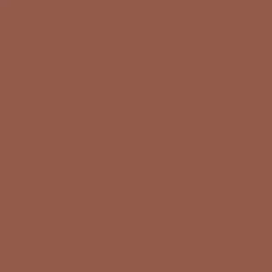 Rich warm terracotta swatch with matte finish, Wylde Grey beauty product color sample