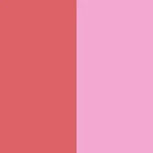 Dibs Beauty Duet Baked Blush - DIBS Beauty - Baked Blush - Hinged - Pop Star - Wylde Grey