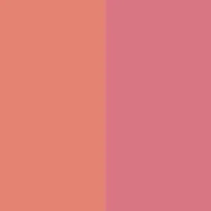 Dibs Beauty Duet Baked Blush - DIBS Beauty - Baked Blush - Hinged - Pop Star - Wylde Grey