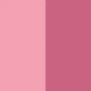 Dibs Beauty Duet Baked Blush - DIBS Beauty - Baked Blush - Hinged - Pop Star - Wylde Grey