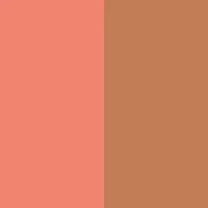 Wylde Grey beauty swatch with matte peach and warm tan colors, luxe and vibrant finish