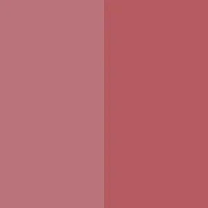 Wylde Grey makeup swatch with two matte rosy pink shades, smooth and luxurious texture