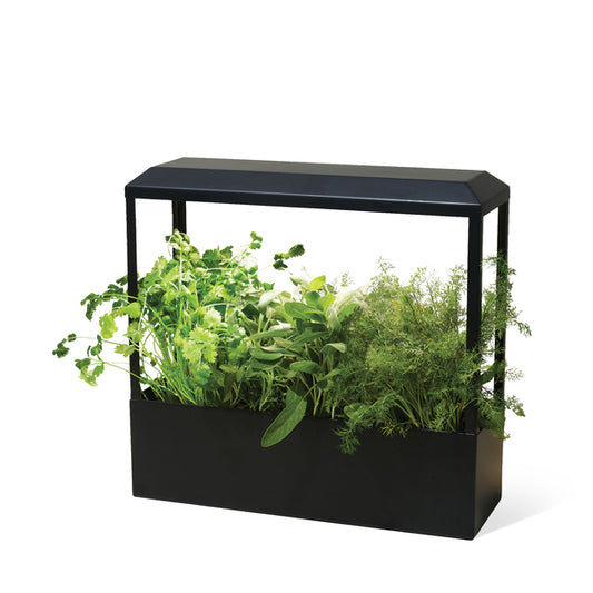 Smart Growhouse - Wylde Grey