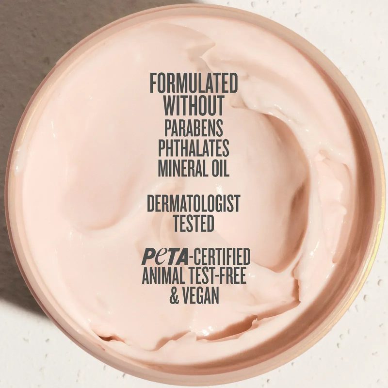 Rosa Charmosa™ Dewy Cream